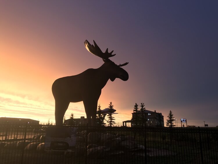 Mac The Moose