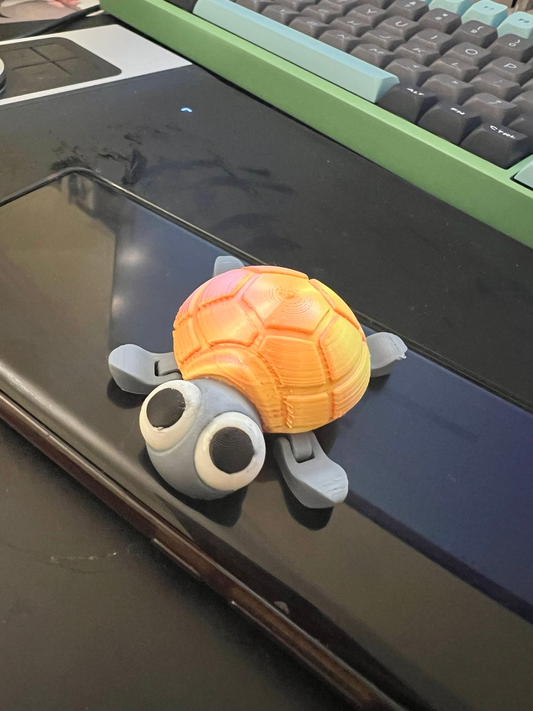 Cute Turtle