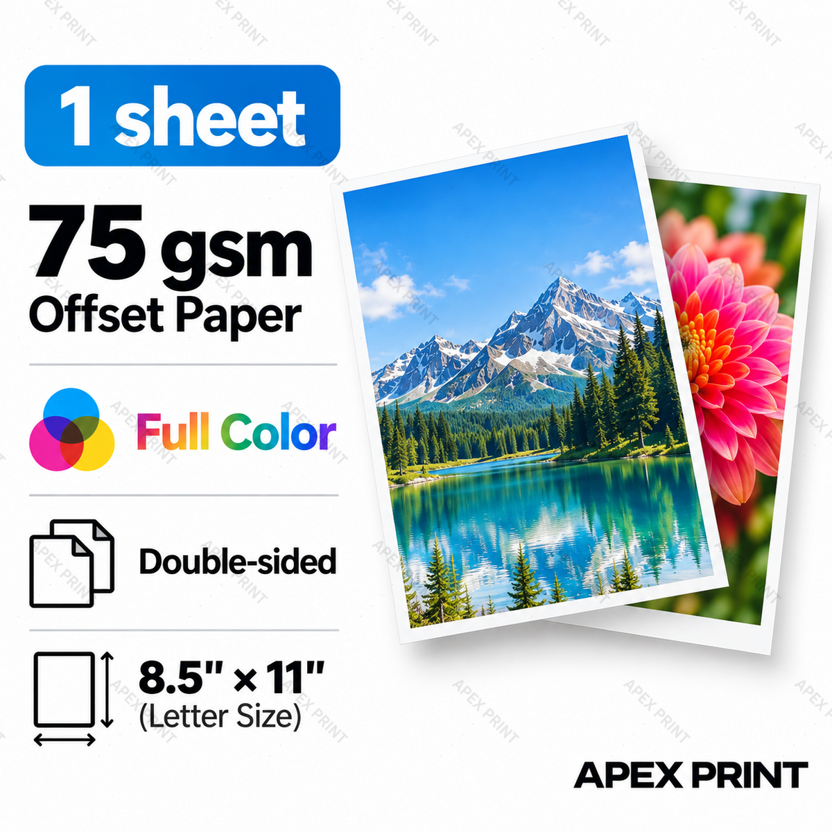 1 sheet | 75 gsm Offset Paper | Full Color | Double-sided | 8.5" × 11"