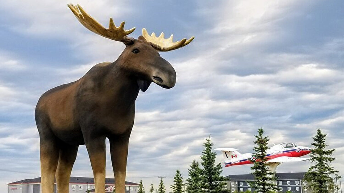Mac The Moose