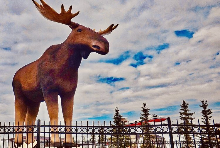 Mac The Moose