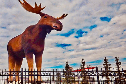 Mac The Moose