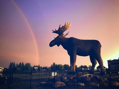 Mac The Moose
