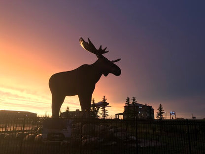 Mac The Moose