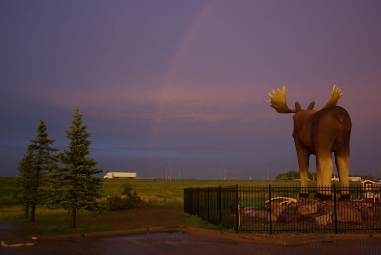 Mac The Moose