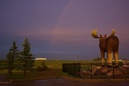 Mac The Moose