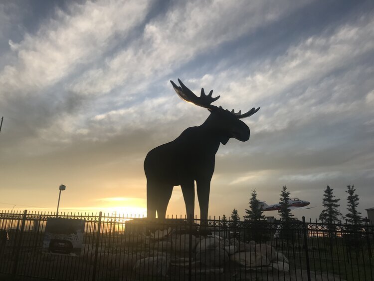 Mac The Moose