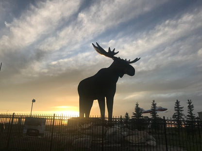 Mac The Moose