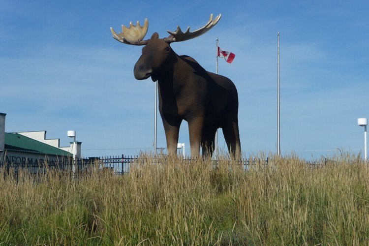 Mac The Moose