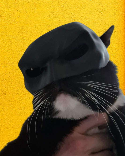 Bat-cat Batman cat mask and fox