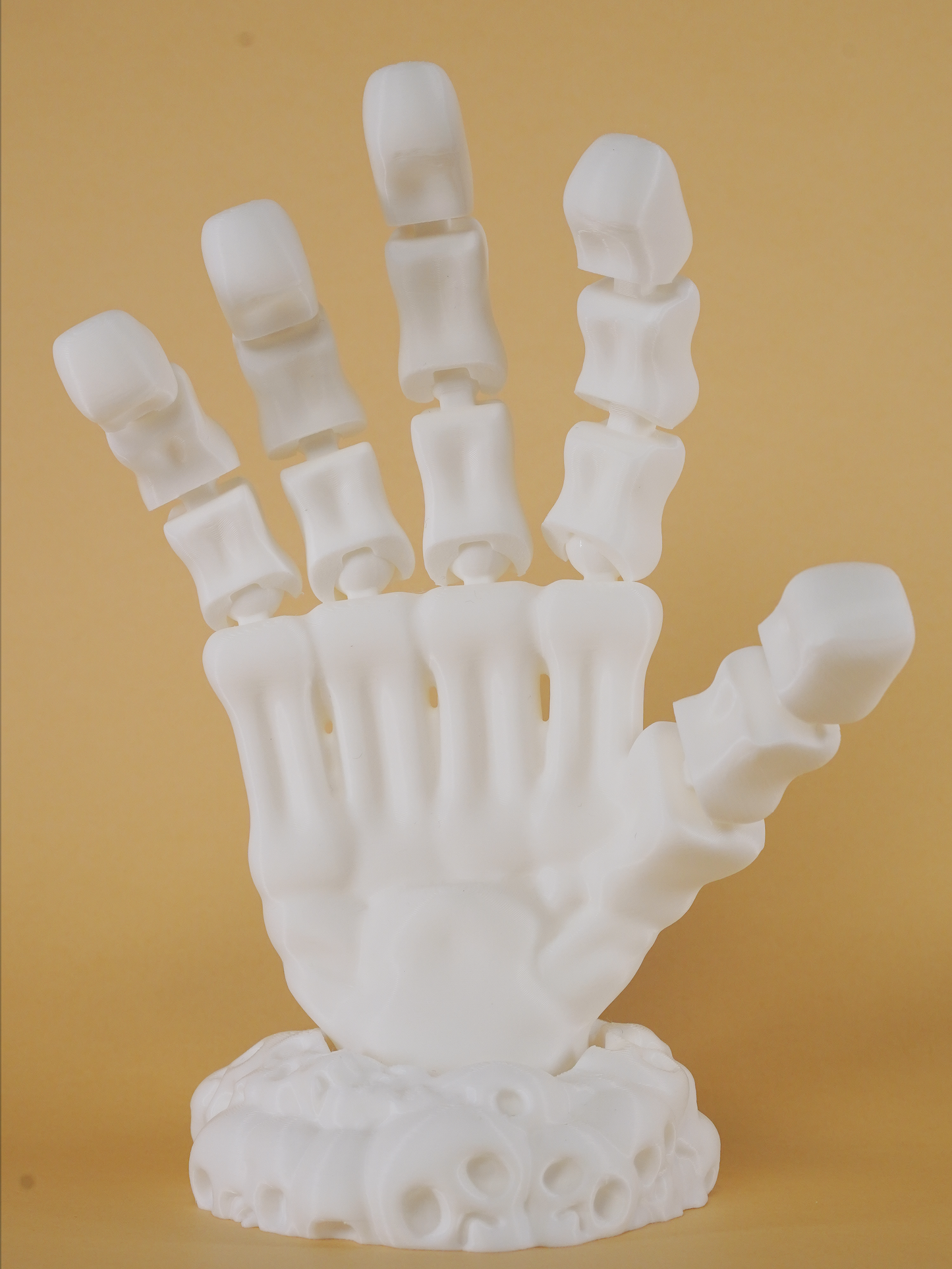 Articulated Skeleton Hand