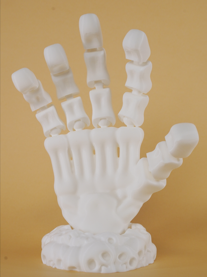 Articulated Skeleton Hand