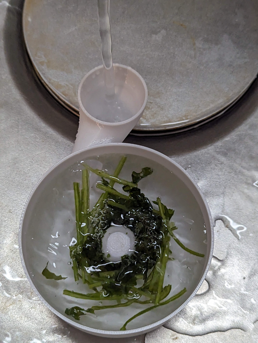 Automatic vegetable and fruit washer