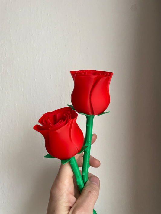 Beautiful Rose w Stem - International Woman’s day